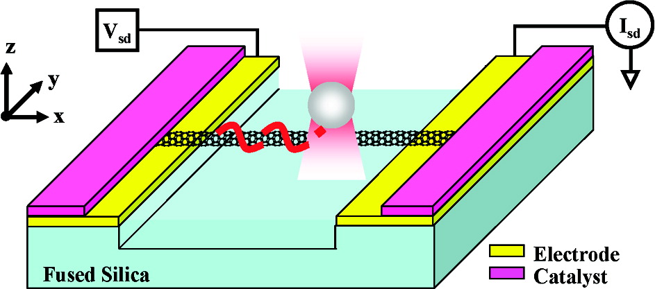 Schematic description of an electrolyte-gated suspended nanotube transistor inside a PDMS microfluidic channel